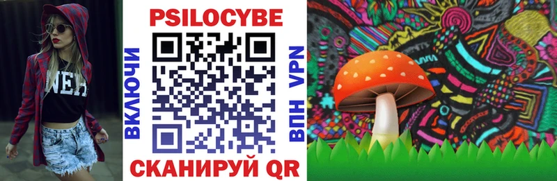 Купить где  Новомичуринск  Галлюциногенные грибы Psilocybe 