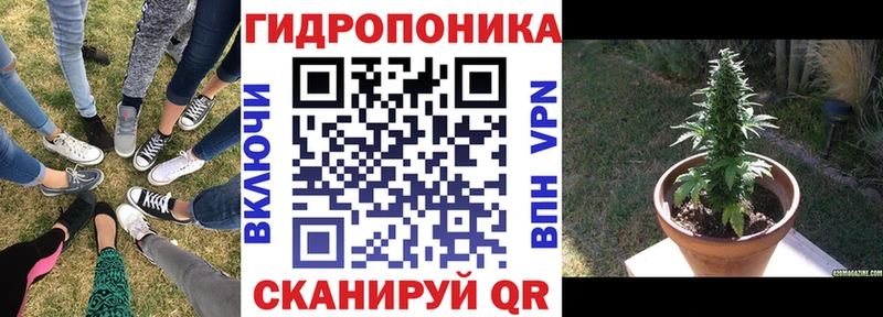 Купить где  Новомичуринск  Каннабис конопля 